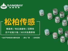 電化學氣體傳感器儲存秘（mì）籍